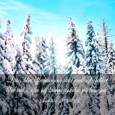 Picture 03 - 2 Kongebok 12:3 NORSK - Dog blev offerhaugene ikke nedlagt; folket blev - Bible Verse Picture