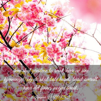 Picture 03 - 2 Kongebok 12:5 NORSK - dem skal prestene ta imot, hver av sine - Bible Verse Picture
