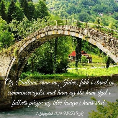 Picture 03 - 2 Kongebok 15:10 NORSK - Og Sallum, sønn av Jabes, fikk i stand en - Bible Verse Picture