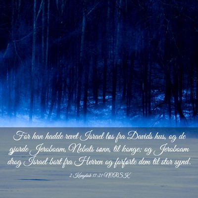 Picture 03 - 2 Kongebok 17:21 NORSK - For han hadde revet Israel løs fra Davids hus, - Bible Verse Picture