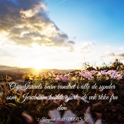 Picture 03 - 2 Kongebok 17:22 NORSK - Og Israels barn vandret i alle de synder som - Bible Verse Picture