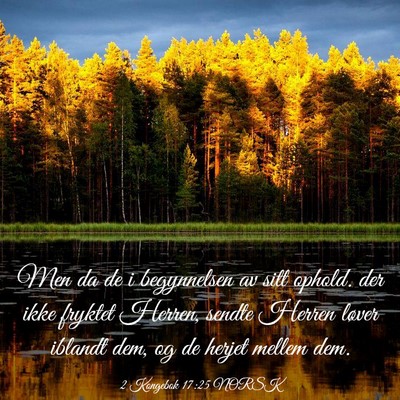 Picture 03 - 2 Kongebok 17:25 NORSK - Men da de i begynnelsen av sitt ophold. der ikke - Bible Verse Picture
