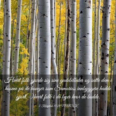 Picture 03 - 2 Kongebok 17:29 NORSK - Hvert folk gjorde sig sine gudebilleder og satte - Bible Verse Picture