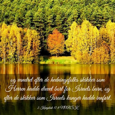 Picture 03 - 2 Kongebok 17:8 NORSK - og vandret efter de hedningefolks skikker som - Bible Verse Picture