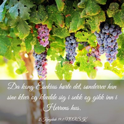Picture 03 - 2 Kongebok 19:1 NORSK - Da kong Esekias hørte det, sønderrev han sine - Bible Verse Picture