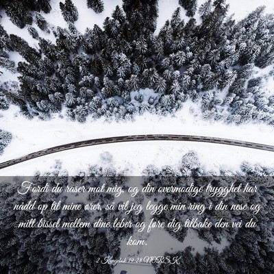 Picture 03 - 2 Kongebok 19:28 NORSK - Fordi du raser mot mig, og din overmodige - Bible Verse Picture