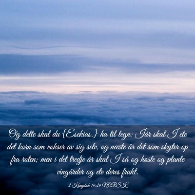 Picture 03 - 2 Kongebok 19:29 NORSK - Og dette skal du {Esekias.} ha til tegn: Iår - Bible Verse Picture