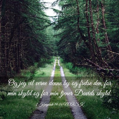 Picture 03 - 2 Kongebok 19:34 NORSK - Og jeg vil verne denne by og frelse den, for min - Bible Verse Picture