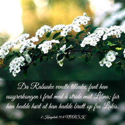 Picture 03 - 2 Kongebok 19:8 NORSK - Da Rabsake vendte tilbake, fant han assyrerkongen - Bible Verse Picture