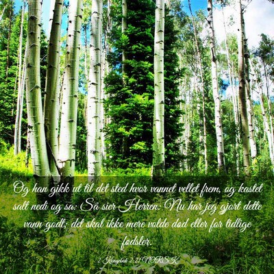 Picture 03 - 2 Kongebok 2:21 NORSK - Og han gikk ut til det sted hvor vannet vellet - Bible Verse Picture