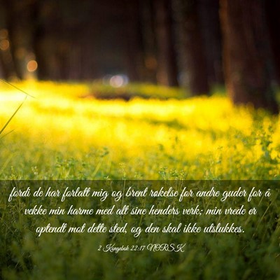 Picture 03 - 2 Kongebok 22:17 NORSK - fordi de har forlatt mig og brent røkelse for - Bible Verse Picture