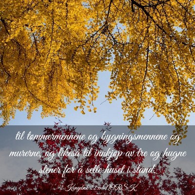 Picture 03 - 2 Kongebok 22:6 NORSK - til tømmermennene og bygningsmennene og murerne, - Bible Verse Picture