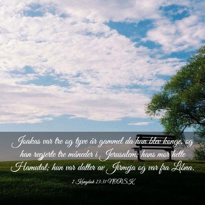 Picture 03 - 2 Kongebok 23:31 NORSK - Joakas var tre og tyve år gammel da han blev - Bible Verse Picture