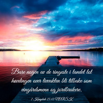 Picture 03 - 2 Kongebok 25:12 NORSK - Bare nogen av de ringeste i landet lot høvdingen - Bible Verse Picture