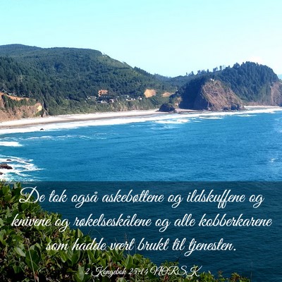 Picture 03 - 2 Kongebok 25:14 NORSK - De tok også askebøttene og ildskuffene og - Bible Verse Picture
