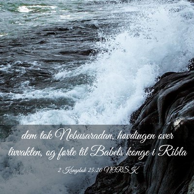 Picture 03 - 2 Kongebok 25:20 NORSK - dem tok Nebusaradan, høvdingen over livvakten, - Bible Verse Picture