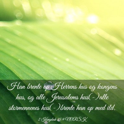 Picture 03 - 2 Kongebok 25:9 NORSK - Han brente op Herrens hus og kongens hus, og alle - Bible Verse Picture