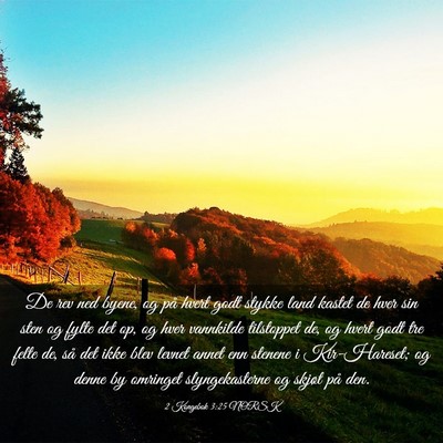 Picture 03 - 2 Kongebok 3:25 NORSK - De rev ned byene, og på hvert godt stykke land - Bible Verse Picture