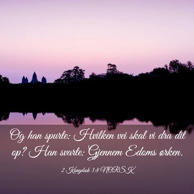 Picture 03 - 2 Kongebok 3:8 NORSK - Og han spurte: Hvilken vei skal vi dra dit op? - Bible Verse Picture