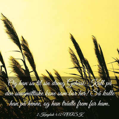 Picture 03 - 2 Kongebok 4:12 NORSK - Og han sa til sin dreng Gehasi: Kall på den - Bible Verse Picture