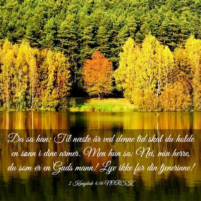 Picture 03 - 2 Kongebok 4:16 NORSK - Da sa han: Til næste år ved denne tid skal du - Bible Verse Picture