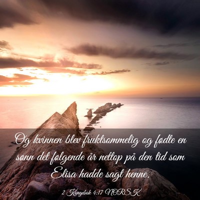 Picture 03 - 2 Kongebok 4:17 NORSK - Og kvinnen blev fruktsommelig og fødte en sønn - Bible Verse Picture