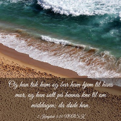 Picture 03 - 2 Kongebok 4:20 NORSK - Og han tok ham og bar ham hjem til hans mor, og - Bible Verse Picture