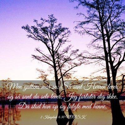 Picture 03 - 2 Kongebok 4:30 NORSK - Men guttens mor sa: Så sant Herren lever, og så - Bible Verse Picture