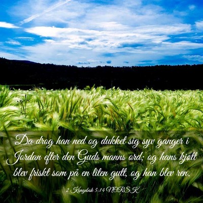 Picture 03 - 2 Kongebok 5:14 NORSK - Da drog han ned og dukket sig syv ganger i Jordan - Bible Verse Picture