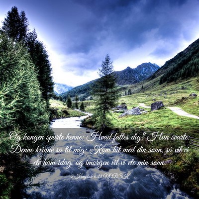 Picture 03 - 2 Kongebok 6:28 NORSK - Og kongen spurte henne: Hvad fattes dig? Hun - Bible Verse Picture