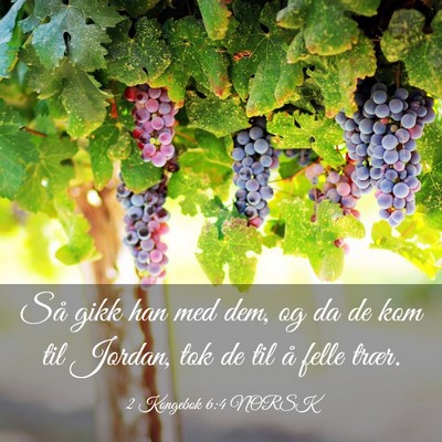 Picture 03 - 2 Kongebok 6:4 NORSK - Så gikk han med dem, og da de kom til Jordan, - Bible Verse Picture