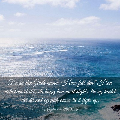 Picture 03 - 2 Kongebok 6:6 NORSK - Da sa den Guds mann: Hvor falt den? Han viste ham - Bible Verse Picture