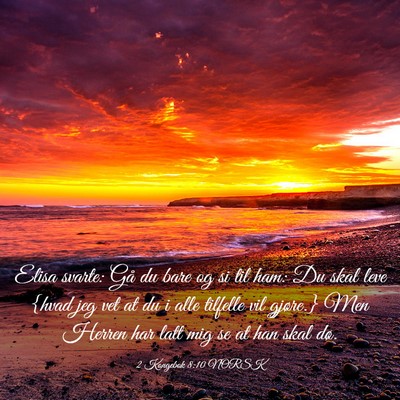 Picture 03 - 2 Kongebok 8:10 NORSK - Elisa svarte: Gå du bare og si til ham: Du skal - Bible Verse Picture