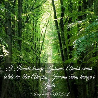 Picture 03 - 2 Kongebok 8:25 NORSK - I Israels konge Jorams, Akabs sønns tolvte år, - Bible Verse Picture