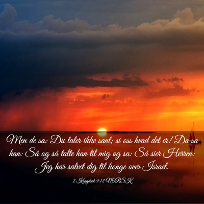 Picture 03 - 2 Kongebok 9:12 NORSK - Men de sa: Du taler ikke sant; si oss hvad det - Bible Verse Picture
