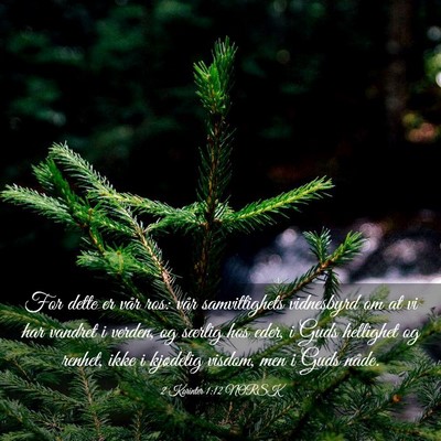 Picture 03 - 2 Korinter 1:12 NORSK - For dette er vår ros: vår samvittighets - Bible Verse Picture