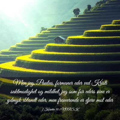 Picture 03 - 2 Korinter 10:1 NORSK - Men jeg, Paulus, formaner eder ved Kristi - Bible Verse Picture