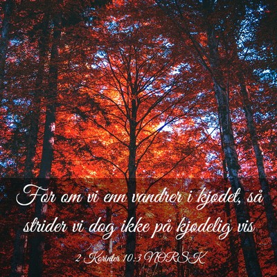 Picture 03 - 2 Korinter 10:3 NORSK - For om vi enn vandrer i kjødet, så strider vi - Bible Verse Picture