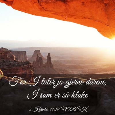 Picture 03 - 2 Korinter 11:19 NORSK - For I tåler jo gjerne dårene, I som er så - Bible Verse Picture