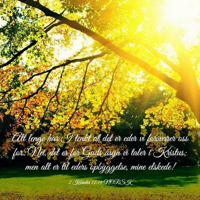 Picture 03 - 2 Korinter 12:19 NORSK - Alt lenge har I tenkt at det er eder vi forsvarer - Bible Verse Picture