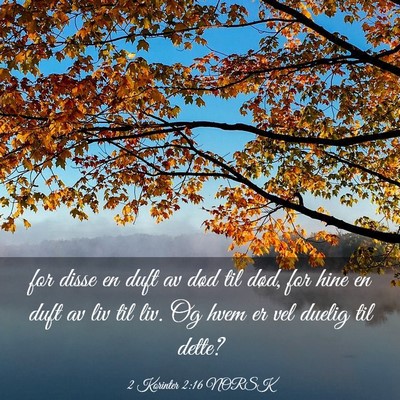 Picture 03 - 2 Korinter 2:16 NORSK - for disse en duft av død til død, for hine en - Bible Verse Picture