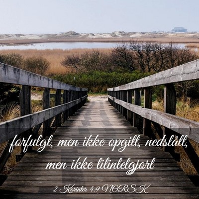 Picture 03 - 2 Korinter 4:9 NORSK - forfulgt, men ikke opgitt, nedslått, men ikke - Bible Verse Picture