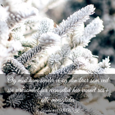 Picture 03 - 2 Korinter 8:18 NORSK - Og med ham sender vi og den bror som ved sin - Bible Verse Picture