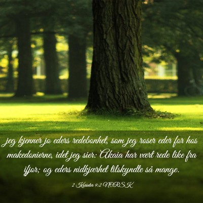 Picture 03 - 2 Korinter 9:2 NORSK - jeg kjenner jo eders redebonhet, som jeg roser - Bible Verse Picture