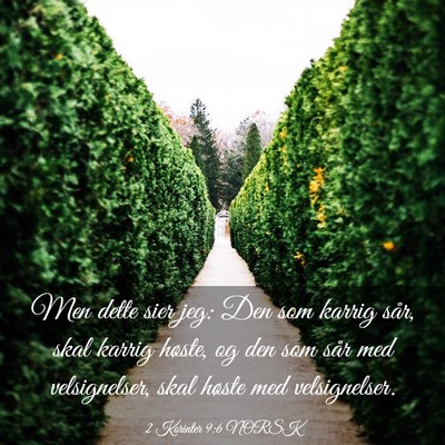 Picture 03 - 2 Korinter 9:6 NORSK - Men dette sier jeg: Den som karrig sår, skal - Bible Verse Picture