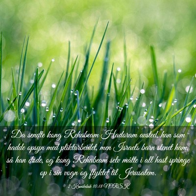 Picture 03 - 2 Krønikebok 10:18 NORSK - Da sendte kong Rehabeam Hadoram avsted, han som - Bible Verse Picture