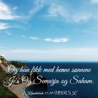 Picture 03 - 2 Krønikebok 11:19 NORSK - Og han fikk med henne sønnene Je's Og Semarja og - Bible Verse Picture