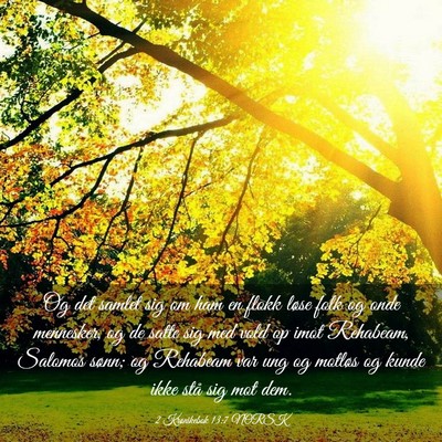 Picture 03 - 2 Krønikebok 13:7 NORSK - Og det samlet sig om ham en flokk løse folk og - Bible Verse Picture
