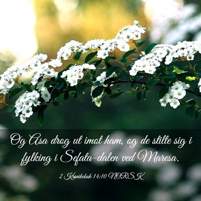 Picture 03 - 2 Krønikebok 14:10 NORSK - Og Asa drog ut imot ham, og de stilte sig i - Bible Verse Picture
