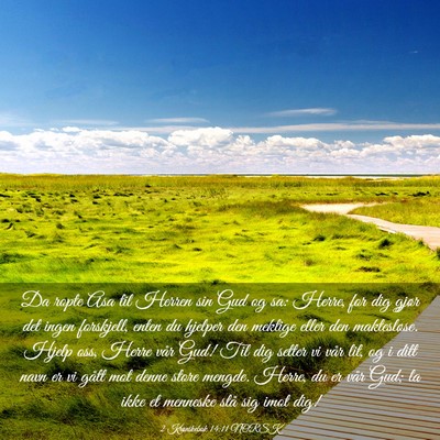 Picture 03 - 2 Krønikebok 14:11 NORSK - Da ropte Asa til Herren sin Gud og sa: Herre, for - Bible Verse Picture